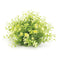 Melrose Mini Leaf Foliage Half Orb (Set of 2)