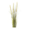 Melrose Foxtail Bush (Set of 6)