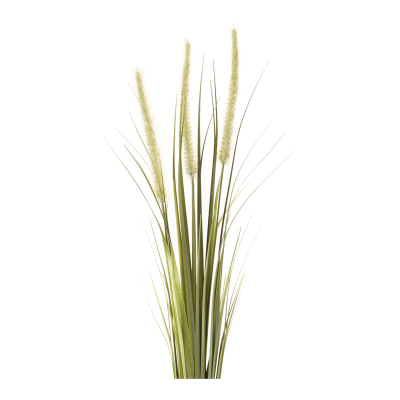 Melrose Foxtail Bush (Set of 6)