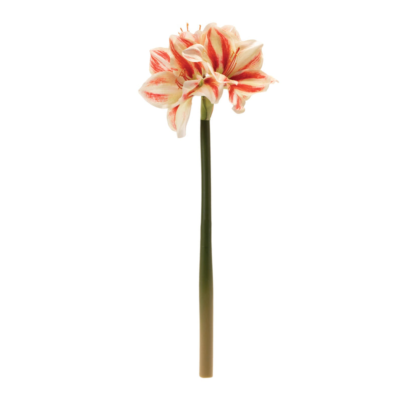 Melrose Amaryllis Flower Stem (Set of 6)