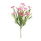 Melrose Mixed Daisy Bush (Set of 2)