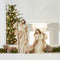 Melrose Nativity Holy Family Figurines with Gold Accents (Set of 3)