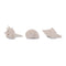 Melrose Sea Shell Filler Decor (Set of 12)