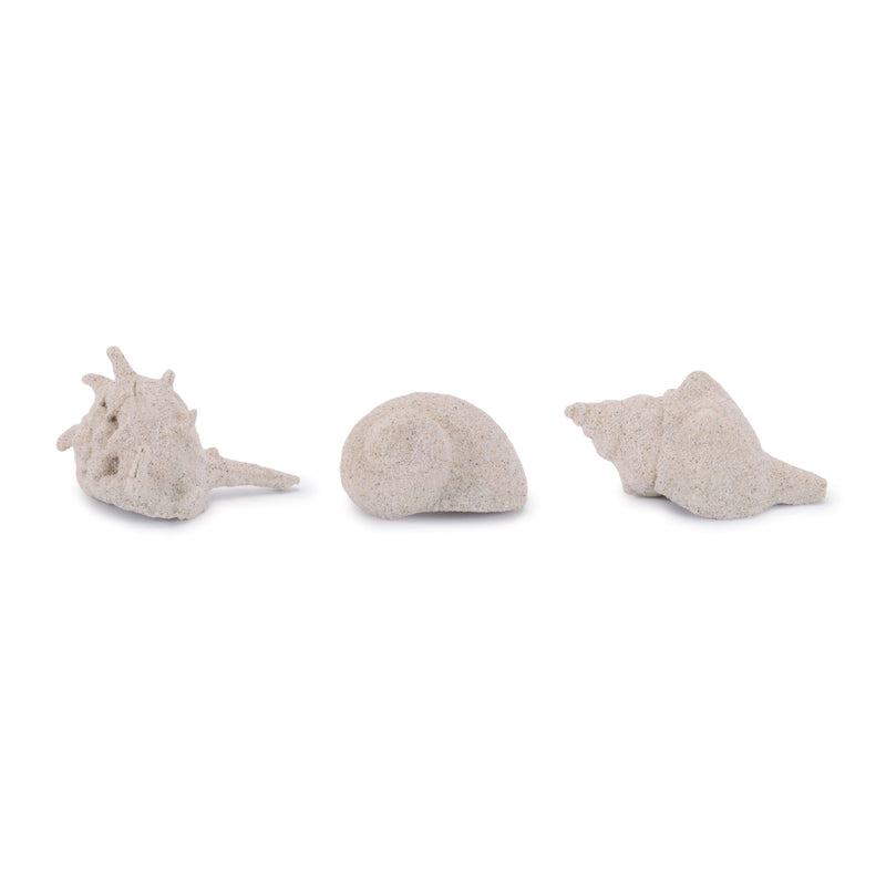 Melrose Sea Shell Filler Decor (Set of 12)