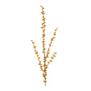 Melrose Ilex Berry Spray (Set of 2)