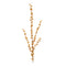 Melrose Ilex Berry Spray (Set of 2)
