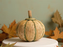 Melrose Carved Fir Wood Pumpkin Decor (Set of 2) Multicolor Farmhouse Fir Wood F