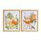 Melrose Framed Protea Floral Wall Art, Rustic, Wood