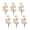 Melrose Beaded Berry Spray (Set of 6)