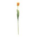 Melrose Tulip Floral Stem (Set of 6)