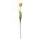 Melrose Tulip Floral Stem (Set of 6)