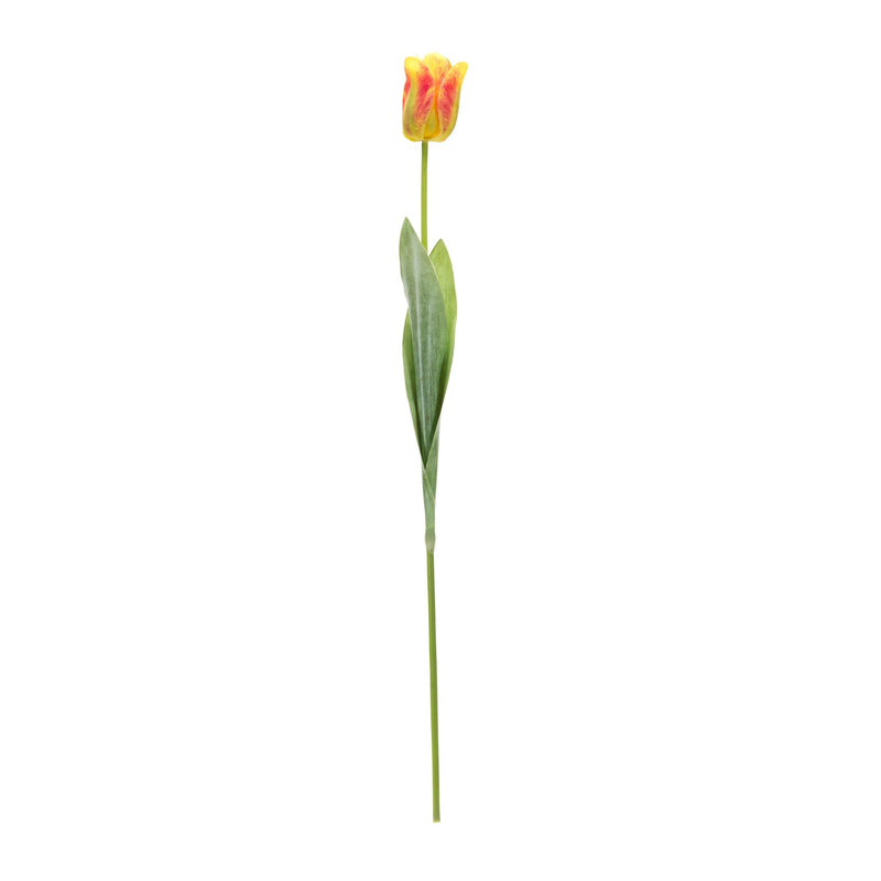 Melrose Tulip Floral Stem (Set of 6)