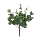 Melrose Mixed Eucalyptus Bundle (Set of 6)