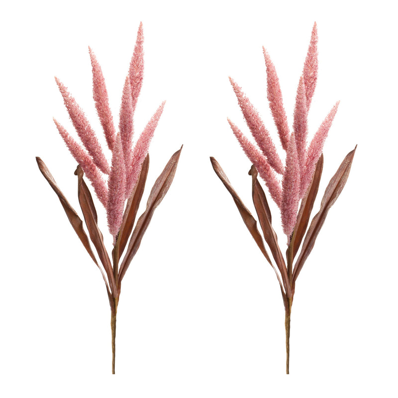 Melrose Foxtail Plume Stem (Set of 2)
