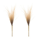 Melrose Grass Plume Bundle (Set of 2)