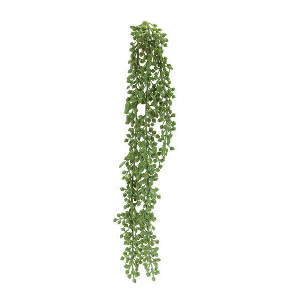 Melrose Succulent Stem (Set of 6)