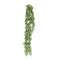 Melrose Succulent Stem (Set of 6)