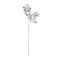 Melrose Lamb's Ear Leaf Bush (Set of 6)