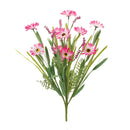 Melrose Mixed Daisy Bush (Set of 2)