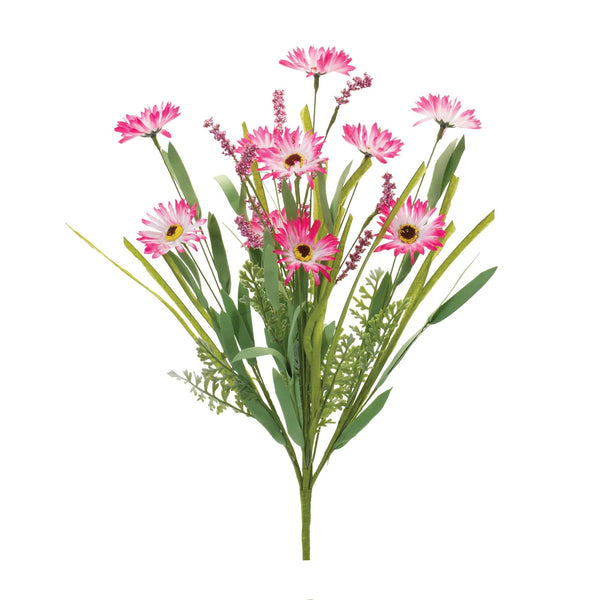 Melrose Mixed Daisy Bush (Set of 2)