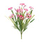 Melrose Mixed Daisy Bush (Set of 2)