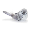 Melrose Feathered Bird Shelf Sitter (Set of 12)