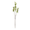Melrose Leaf Foliage Branch (Set of 6)