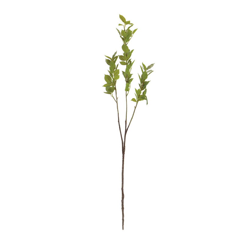 Melrose Leaf Foliage Branch (Set of 6)