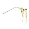 Melrose Amaranthus Floral Stem (Set of 4)