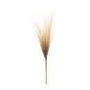 Melrose Grass Plume Bundle (Set of 2)