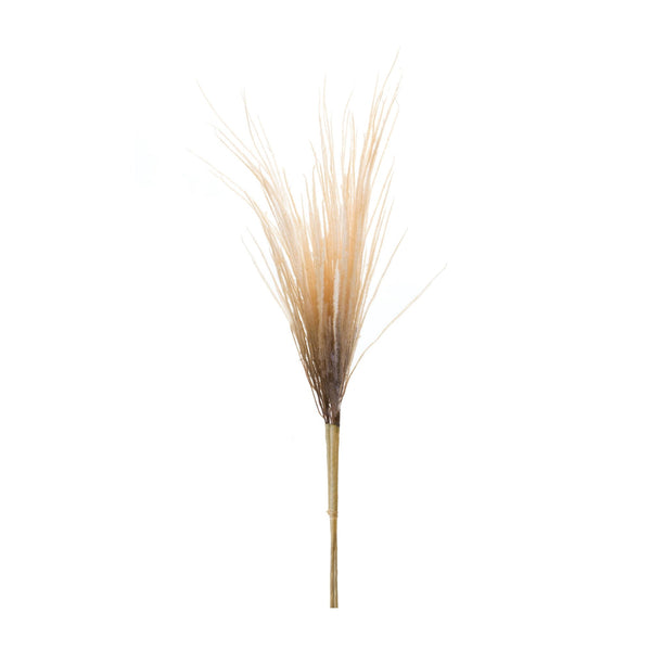 Melrose Grass Plume Bundle (Set of 2)