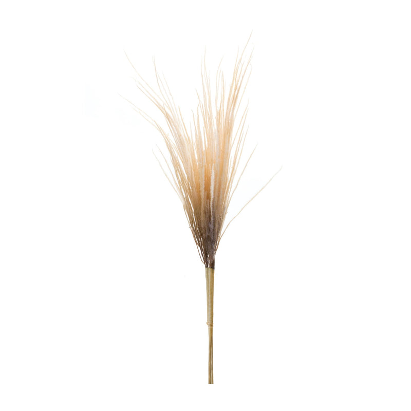 Melrose Grass Plume Bundle (Set of 2)