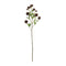 Melrose Brown Allium Floral Spray (Set of 6)