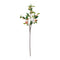 Melrose Peach Fruit Foliage Branch (Set of 6)