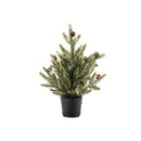 Melrose Potted Mini Pine Tree (Set of 2)