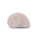 Melrose Sea Shell Filler Decor (Set of 12)