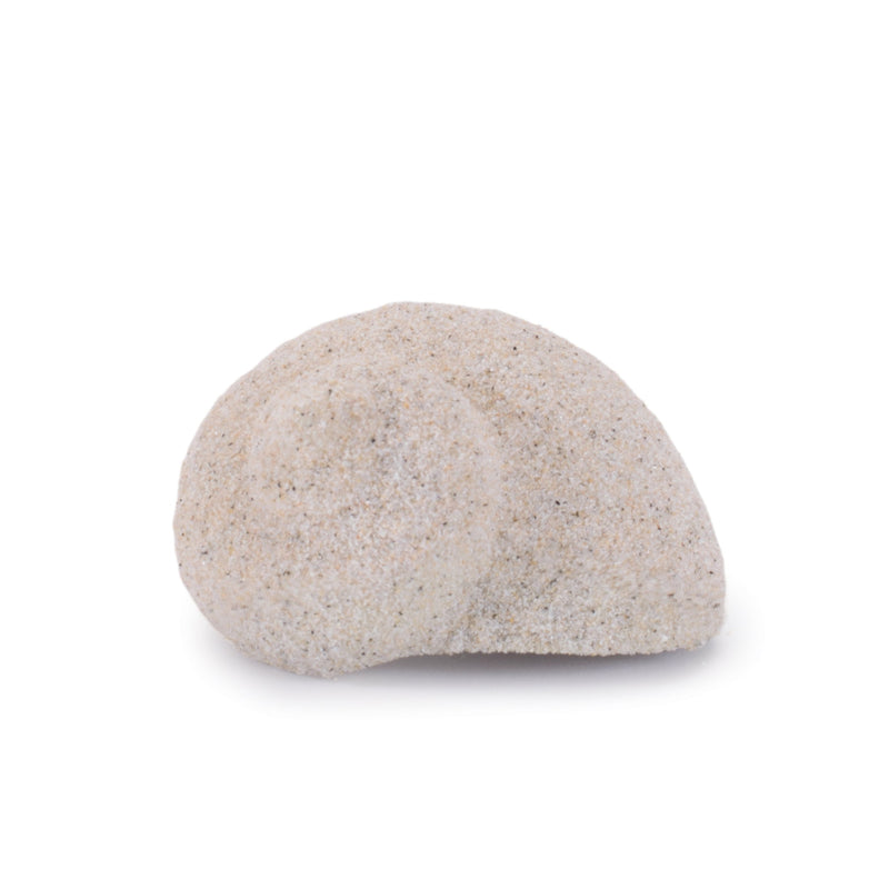 Melrose Sea Shell Filler Decor (Set of 12)