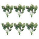 Melrose Prayer Plant Foliage Bush (Set of 6)