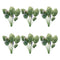 Melrose Prayer Plant Foliage Bush (Set of 6)