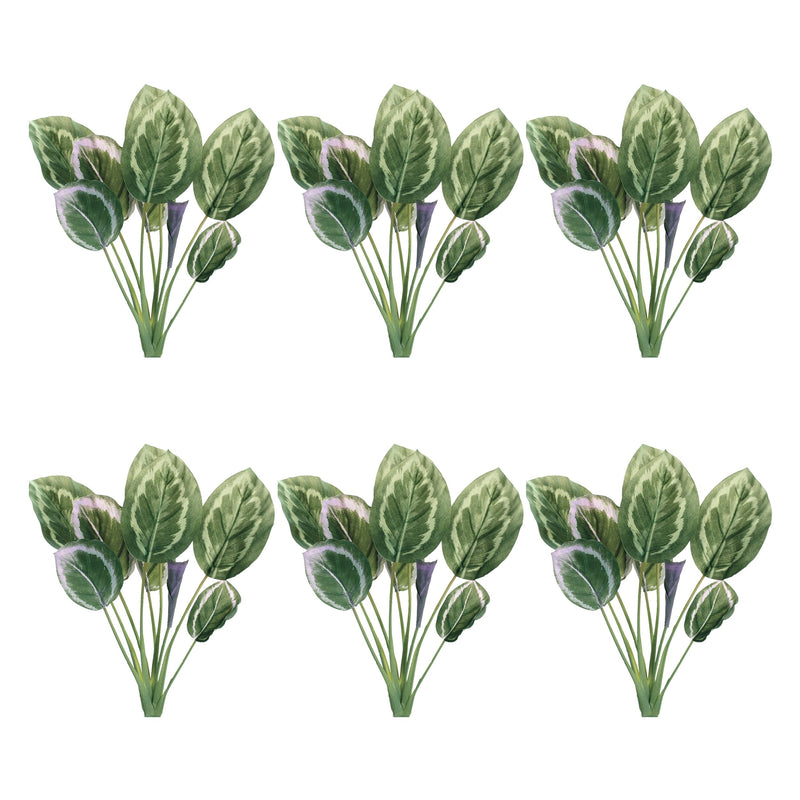 Melrose Prayer Plant Foliage Bush (Set of 6)