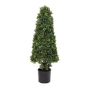 Melrose Potted Boxwood Foliage Topiary 38"H
