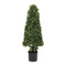 Melrose Potted Boxwood Foliage Topiary 38"H