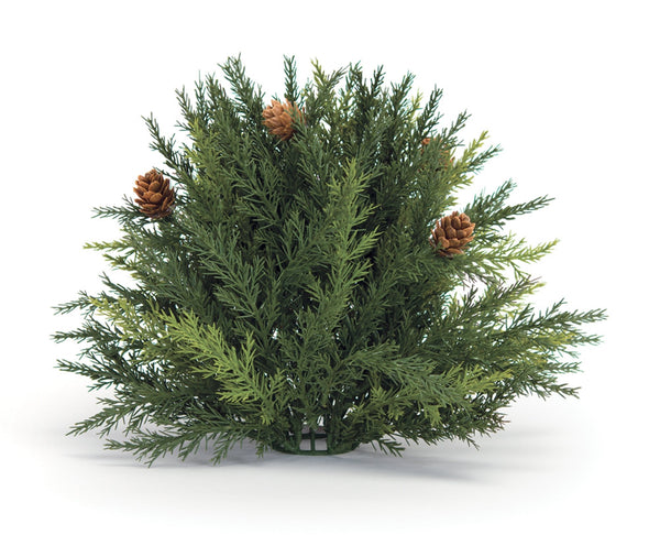 Melrose Arborvitae Half Orb 8.5"D