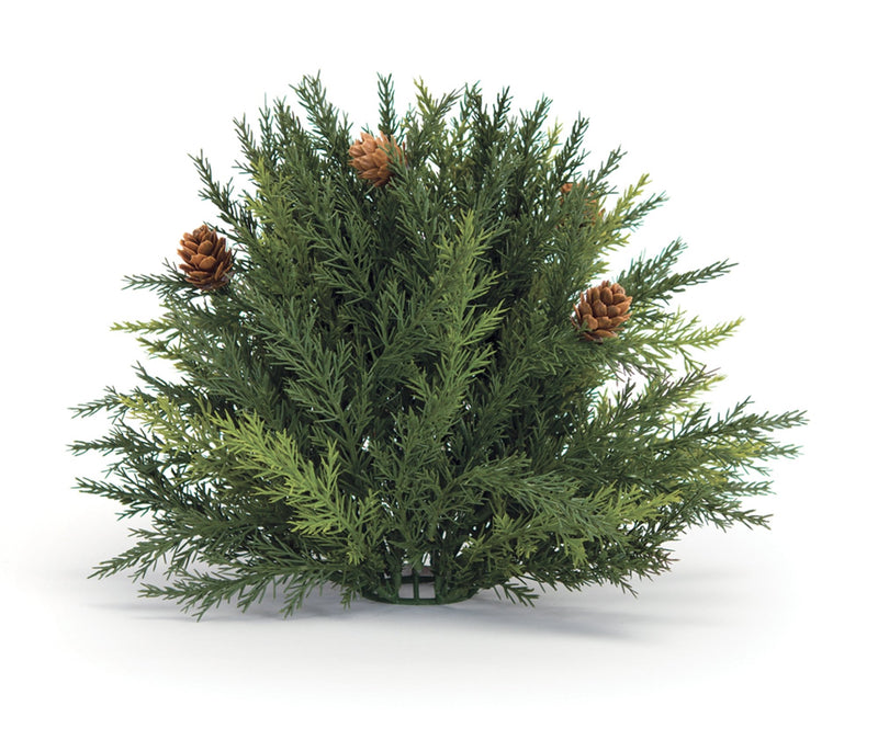 Melrose Arborvitae Half Orb 8.5"D