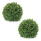 Melrose Boxwood Foliage Orb (Set of 2)