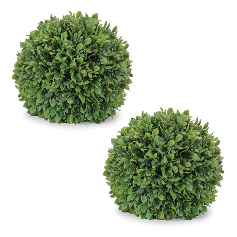 Melrose Boxwood Foliage Orb (Set of 2)