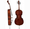 GEWA Walther 11 “Rom Antique” Concert Cello 4/4 – Marko Ackert Design
