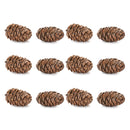 Melrose Pine Cone Decor (Set of 12)
