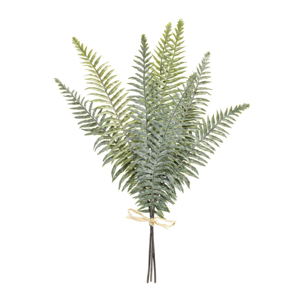 Melrose Fern Foliage Bundle (Set of 2)
