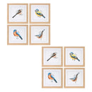 Melrose Framed Bird Print Under Glass Wall Decor, Wood